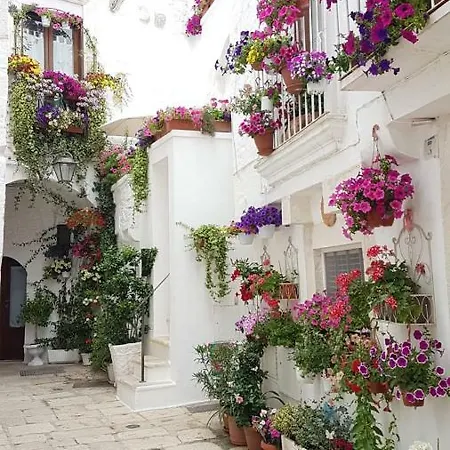 White Luxury By Gonewlocation